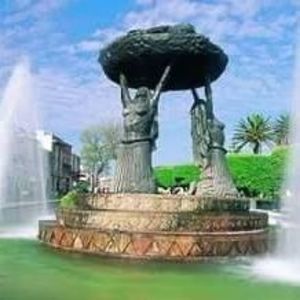 Meet your Posher, Nora