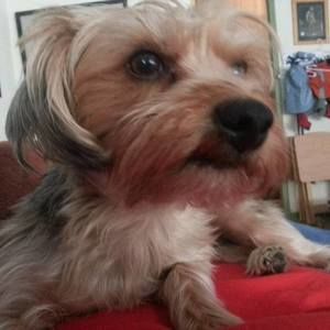 Meet your Posher, Adah