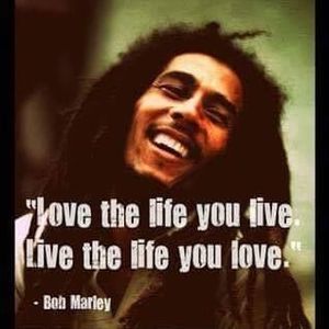 Meet your Posher, Marlene