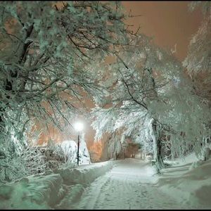 Meet your Posher, Misty