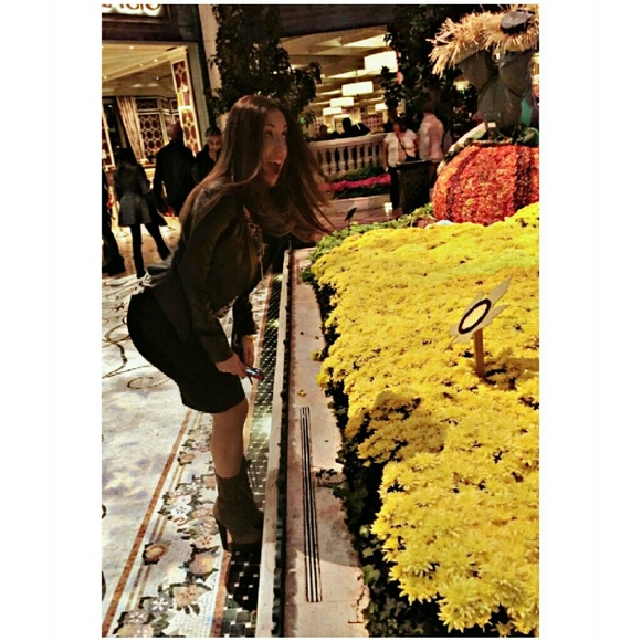 Hi Everyone - Picture 2 of 4