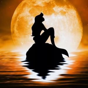 Meet your Posher, Christi