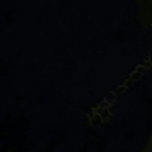 Meet your Posher, Esperanza