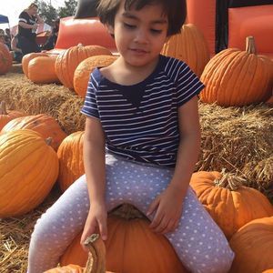 Meet your Posher, Zeladad