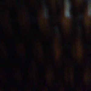 Meet your Posher, Antonio