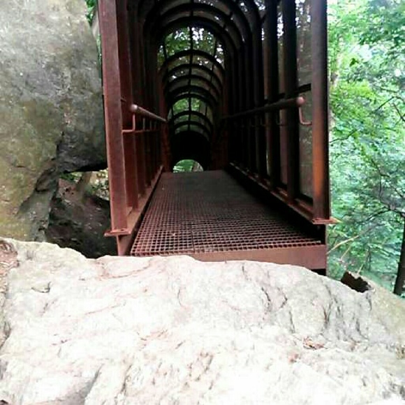 Meet your Posher, Lydia