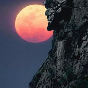 Meet your Posher, Beverlee