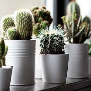 Meet your Posher, Maddie