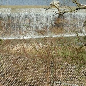 Meet your Posher, Myrna