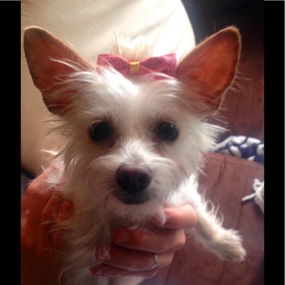 💕💚 Hi! I'm your Posher, Jess! 💚💕 - Picture 6 of 11