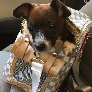 Pet purse - travel with your dog in style