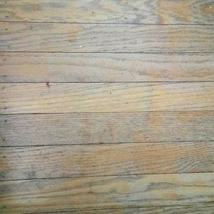 Meet your Posher, Elisabeth