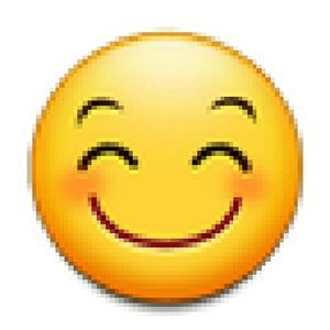 Meet your Posher, Terri