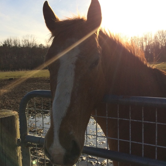 Meet your Posher, Dana - Picture 3 of 3