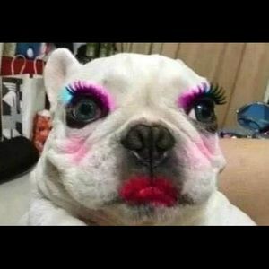 Meet your Posher, Alice