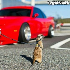 Meet your Posher, Azariah