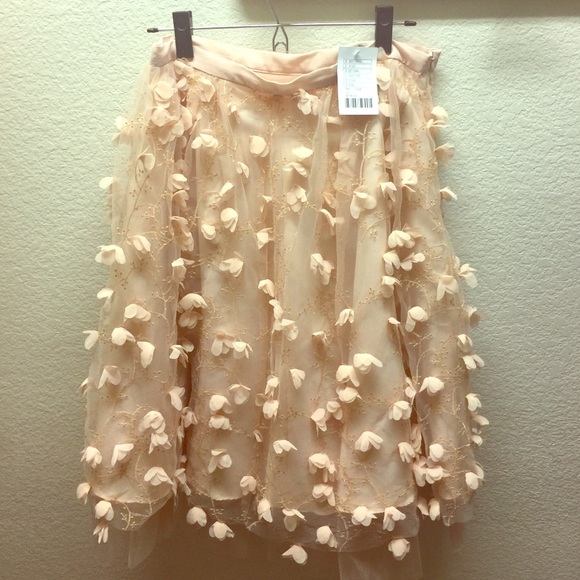 Anthropologie Embellished Skirt