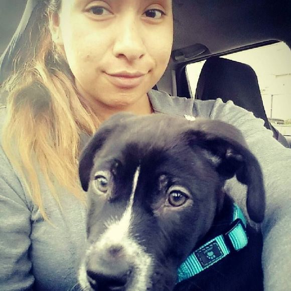 Meet your Posher, Diana - Picture 1 of 1