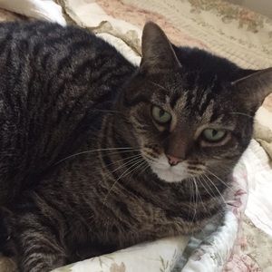 Meet your Posher, Kristy