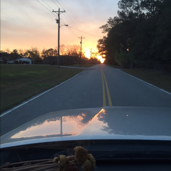 Meet your Posher, Kallee - Picture 1 of 1