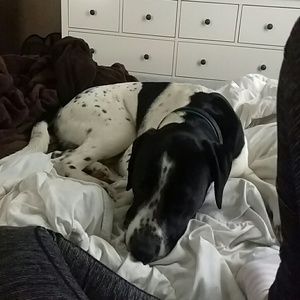 Meet your Posher, Janelle