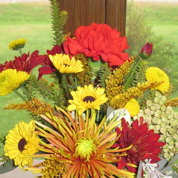 Meet your Posher, Duane - Picture 1 of 1