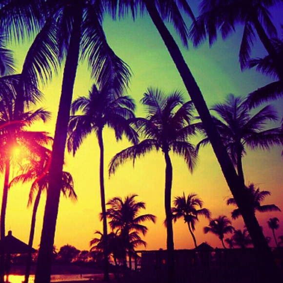 Meet your Posher, Shea