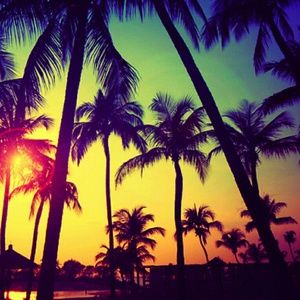 Meet your Posher, Shea