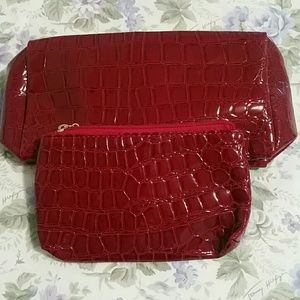 2 Makeup Bags w/ Mirror & Lg. Botle Face Cleanser!