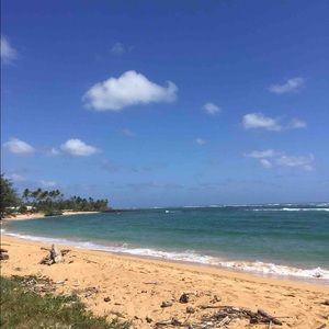 Meet your Posher, Mayra