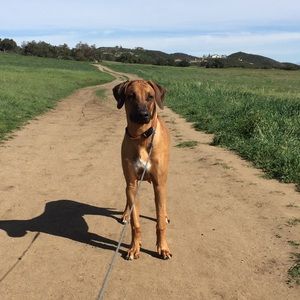 Meet your Posher, Carmen