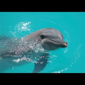 Meet your Posher, Becky