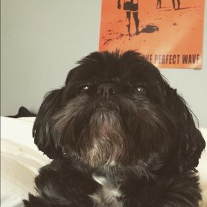 Meet your Posher, Shawna