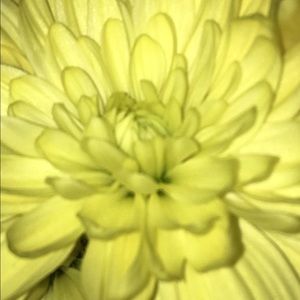 Meet your Posher, Deeya