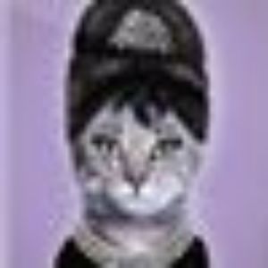 Meet your Posher, Katherine