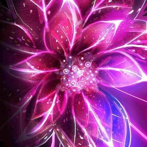 Meet your Posher, Brandi