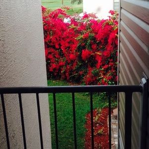 Meet your Posher, Khadija