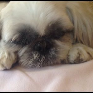 Meet your Posher, Gianna