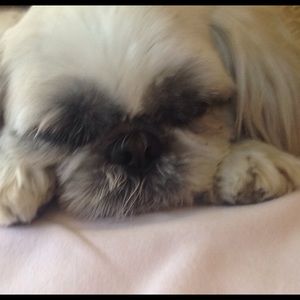 Meet your Posher, Gianna