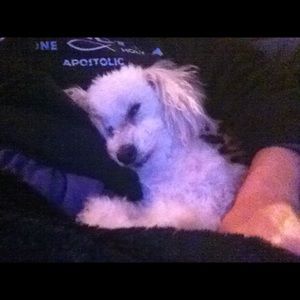 Meet your Posher, Ang