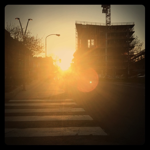 Meet your Posher, Bridget - Picture 1 of 1