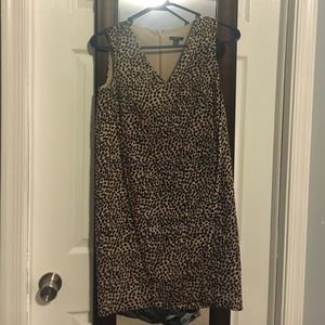 Ann Taylor Cheetah Dress