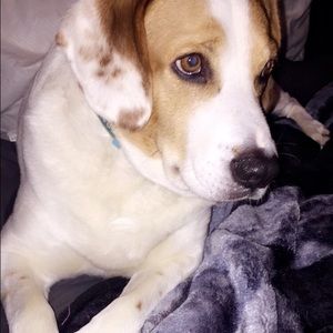 Meet your Posher, Morgan