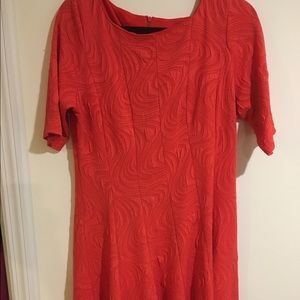 Women's gabby Skye flare knee length dress