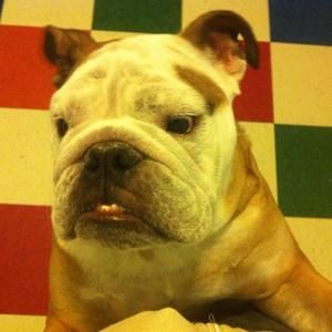 Meet your Posher, Tonya