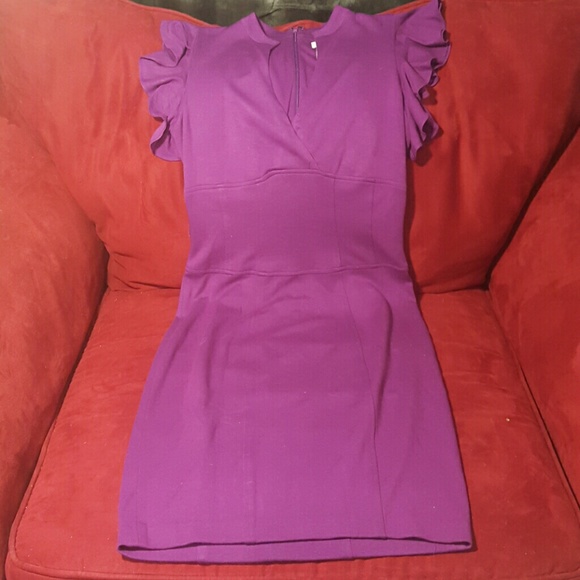 Cache Dress Purple Size 6
