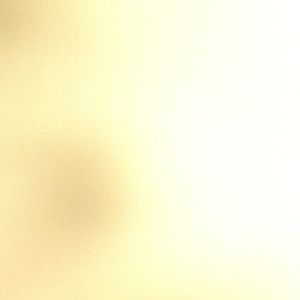 Meet your Posher, Shyla