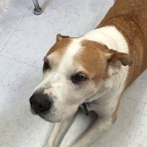 Meet your Posher, Jasmin