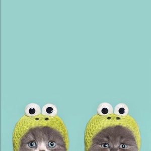 Meet your Posher, May