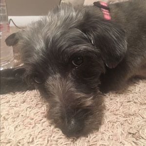 Meet your Posher, Monica